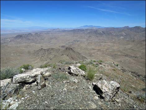 Bonelli Peak