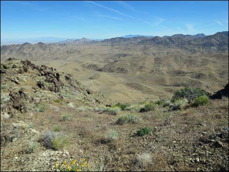 Bonelli Peak