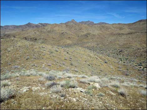 Bonelli Peak