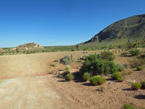 First Rock Campsite