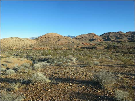 Mud Hills Corral Campsite