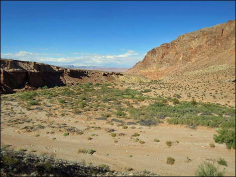 Red Bluff Spring Overlook Campsite