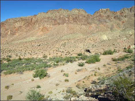 Red Bluff Spring Overlook Campsite