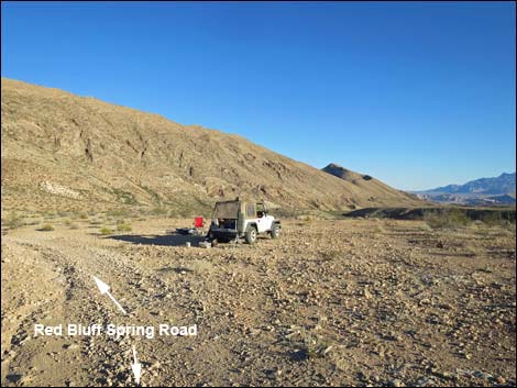 Red Bluff Spring Road Saddle Campsite