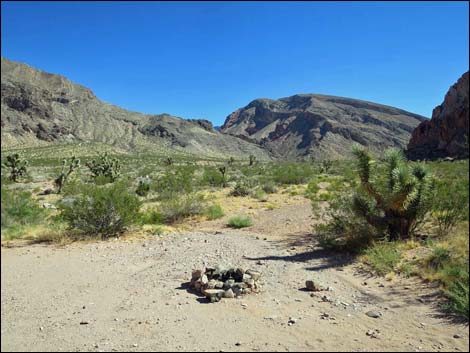 Whitney Pocket Campsites