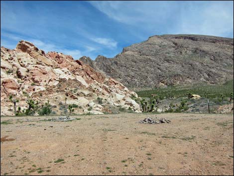 Whitney Pocket Campsites