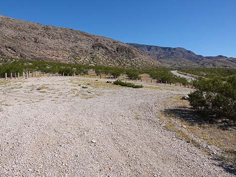 Whitney Pass Road Campsites