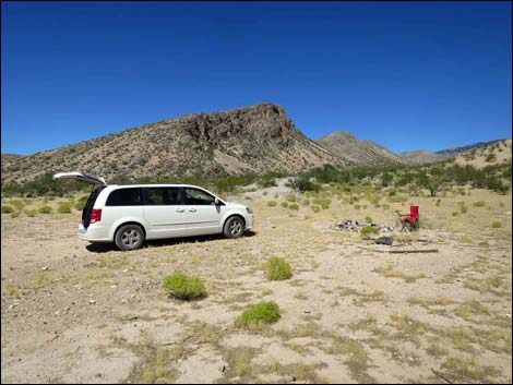 Whitney Pass Road Campsite