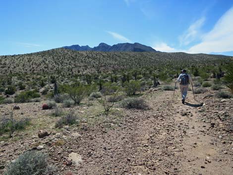 Cobalt Mine