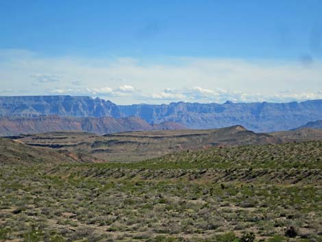 Cobalt Mine