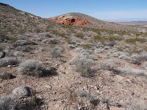 Doodlebug Canyon