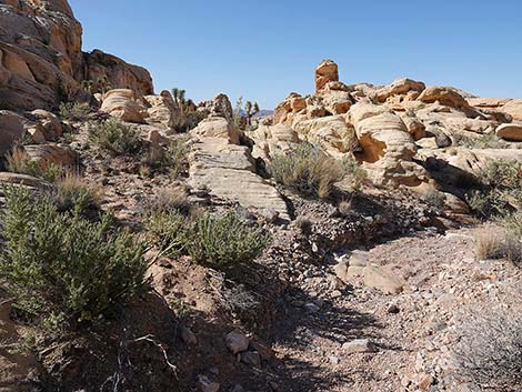 Doodlebug Canyon