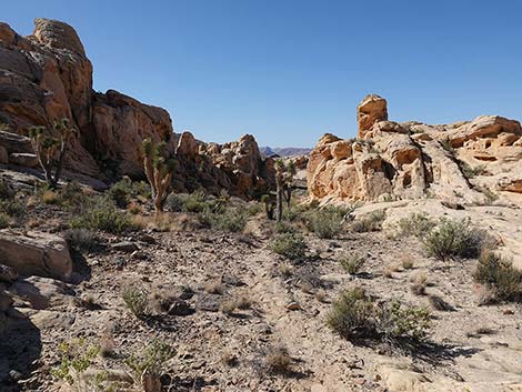 Doodlebug Canyon