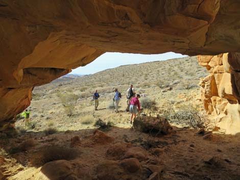 Doodlebug Arch