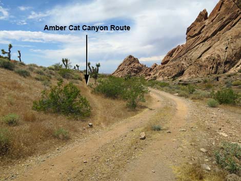 Doodlebug Canyon