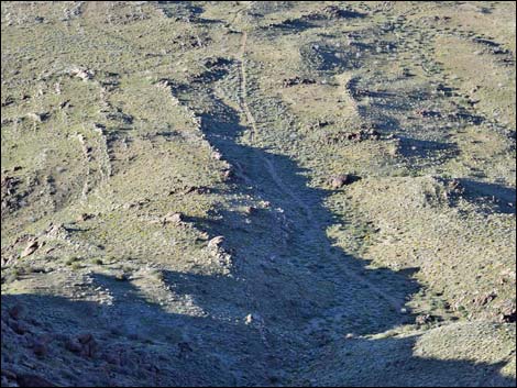 Gold Butte Peak