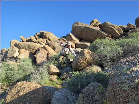 Gold Butte Peak