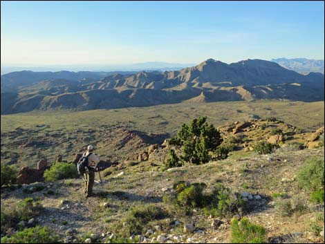 Gold Butte Peak