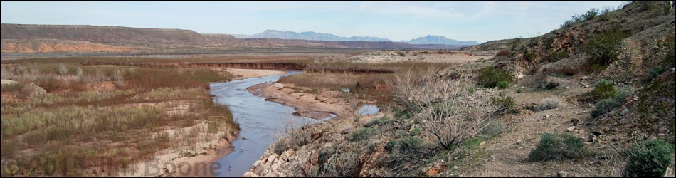 Gentry Ranch Area