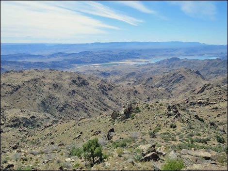 Jumbo Springs Wilderness Area