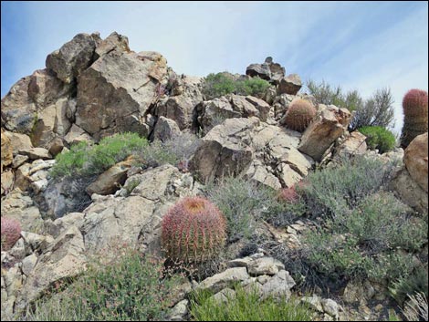 Jumbo Springs Wilderness Area