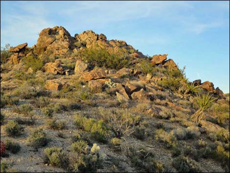 Jumbo Springs Wilderness