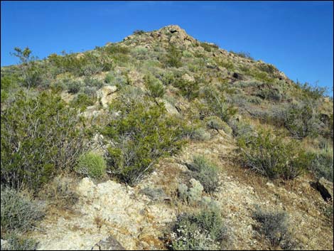 Jumbo Springs Wilderness