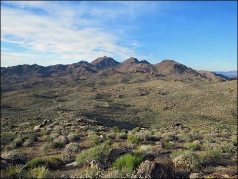 Jumbo Springs Wilderness