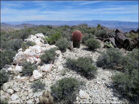 Jumbo Springs Wilderness