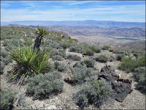 Jumbo Springs Wilderness