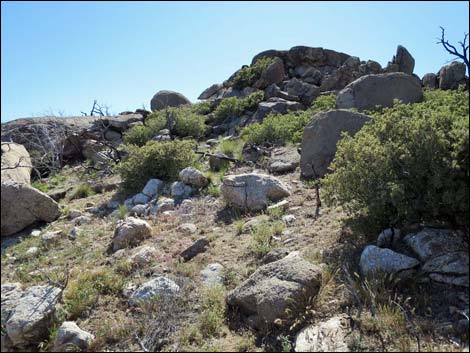 Jumbo Ridge Highpoint