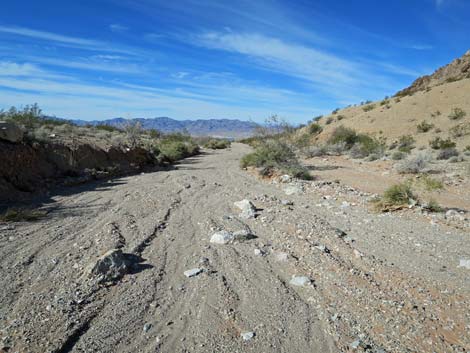 Two Forks Loop