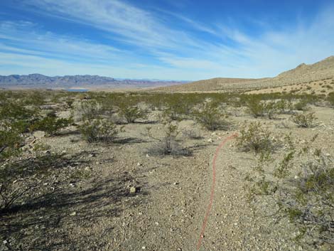 Two Forks Loop