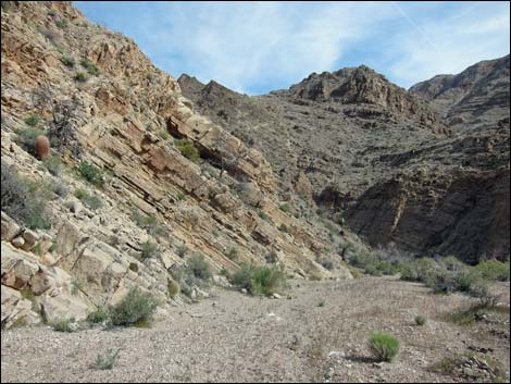 Lime Canyon