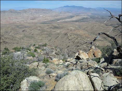 Mica Peak