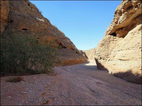 Mud Wash Narrows