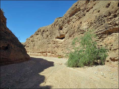 Mud Wash Narrows