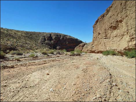 Mud Wash Narrows