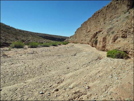 Mud Wash Narrows