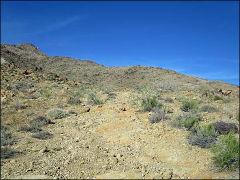 Mud Wash North Road  Nevada Mica Mine Road