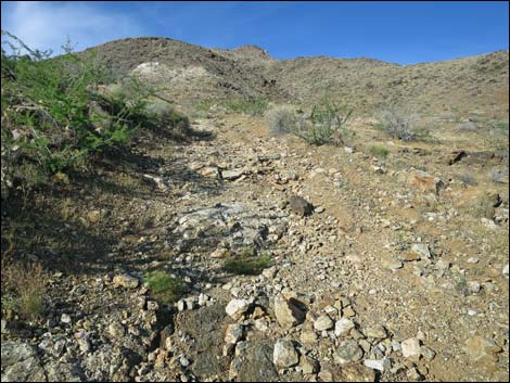 Mud Wash North Road  Nevada Mica Mine Road