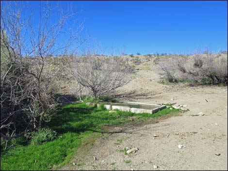 Agua Chiquita Spring