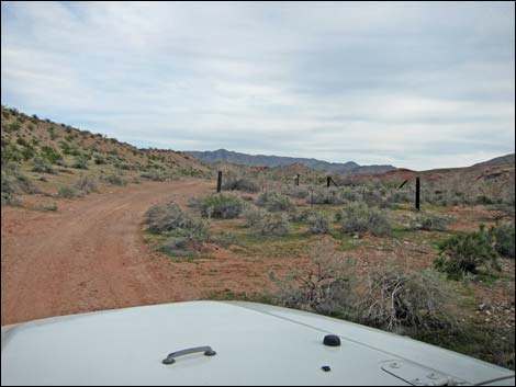 Gold Butte Wash Well