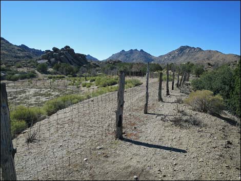 Grapevine Spring Corral