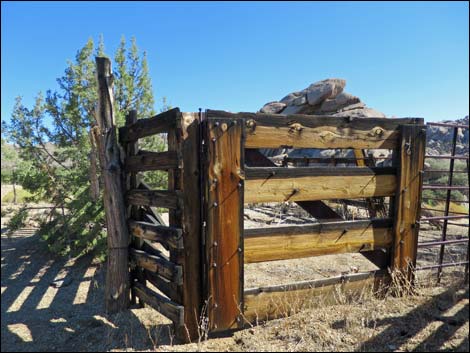 Grapevine Spring Corral