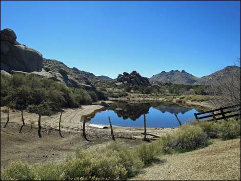 Grapevine Spring Corral