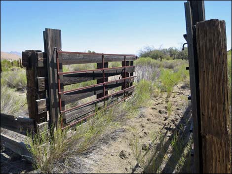 Garden Spring Corral