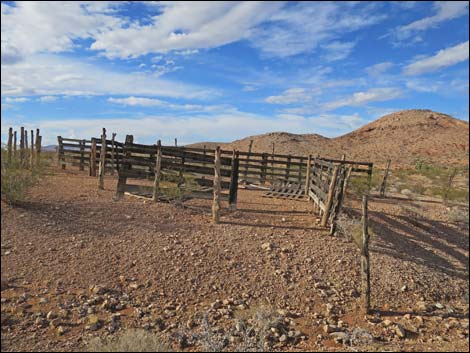 Mud Hills Corral