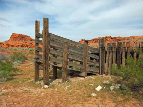 Mud Wash Corral