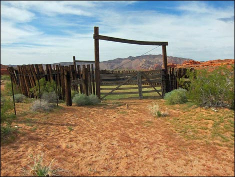 Mud Wash Corral